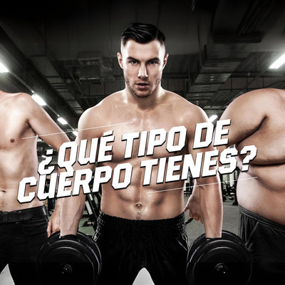 ¿Qué tipo de cuerpo tienes?