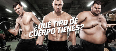 ¿Qué tipo de cuerpo tienes?