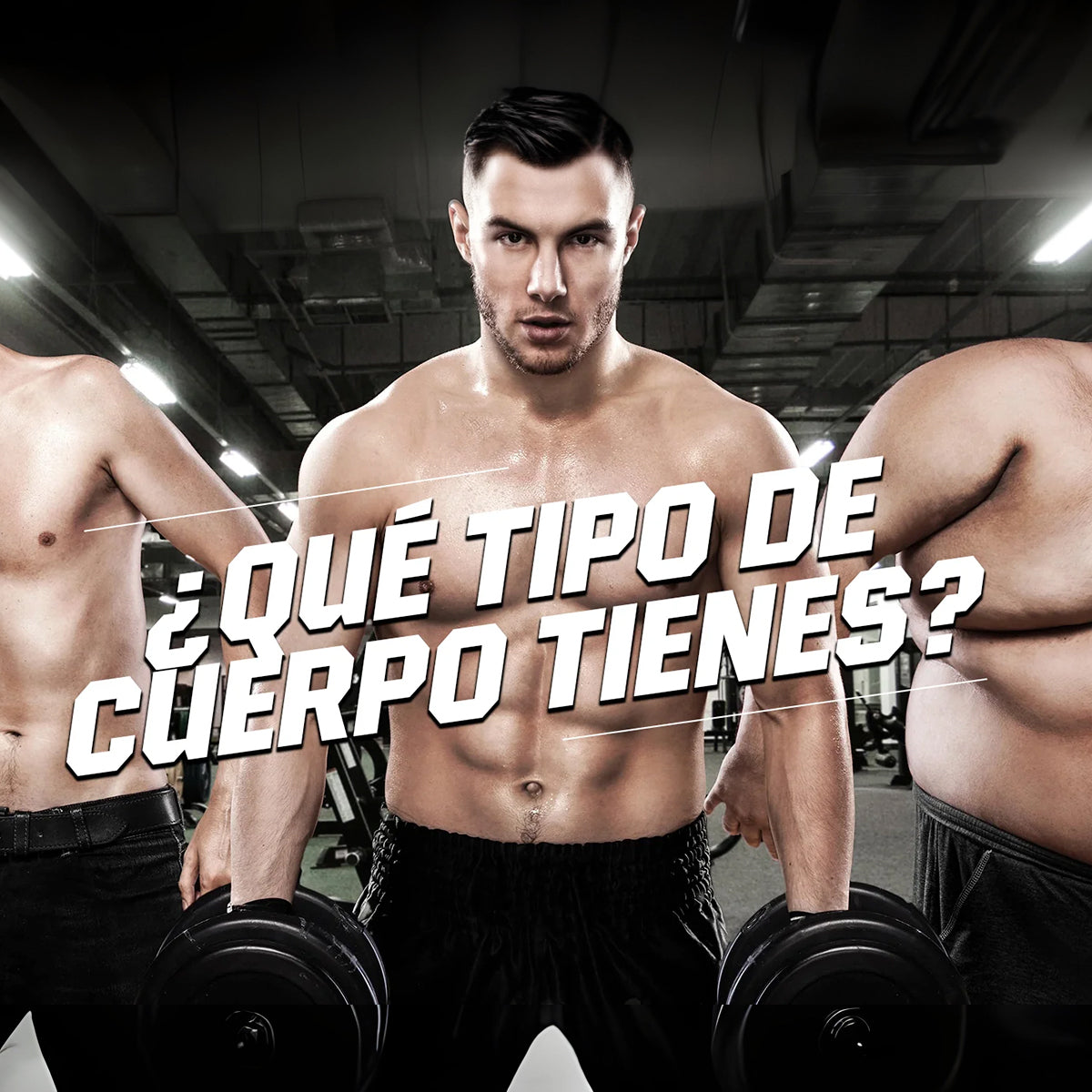 ¿Qué tipo de cuerpo tienes?